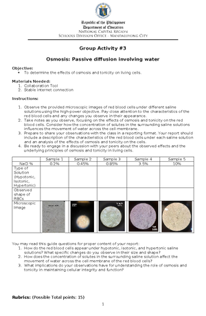 Trainor Example ATG Stratification of Rocks - ADAPTIVE TEACHING GUIDE ...