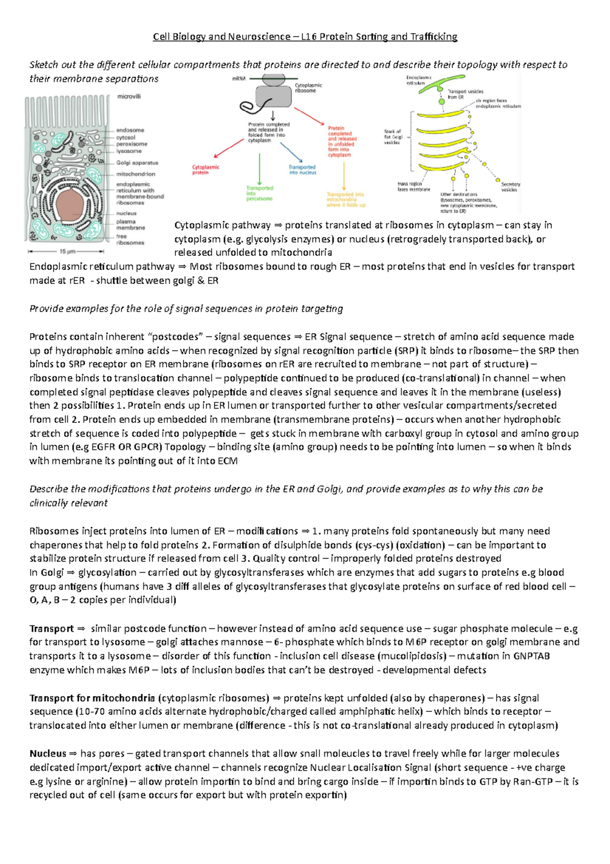 Cell Biology and Neuroscience – L16 Protein Sorting and Trafficking ...