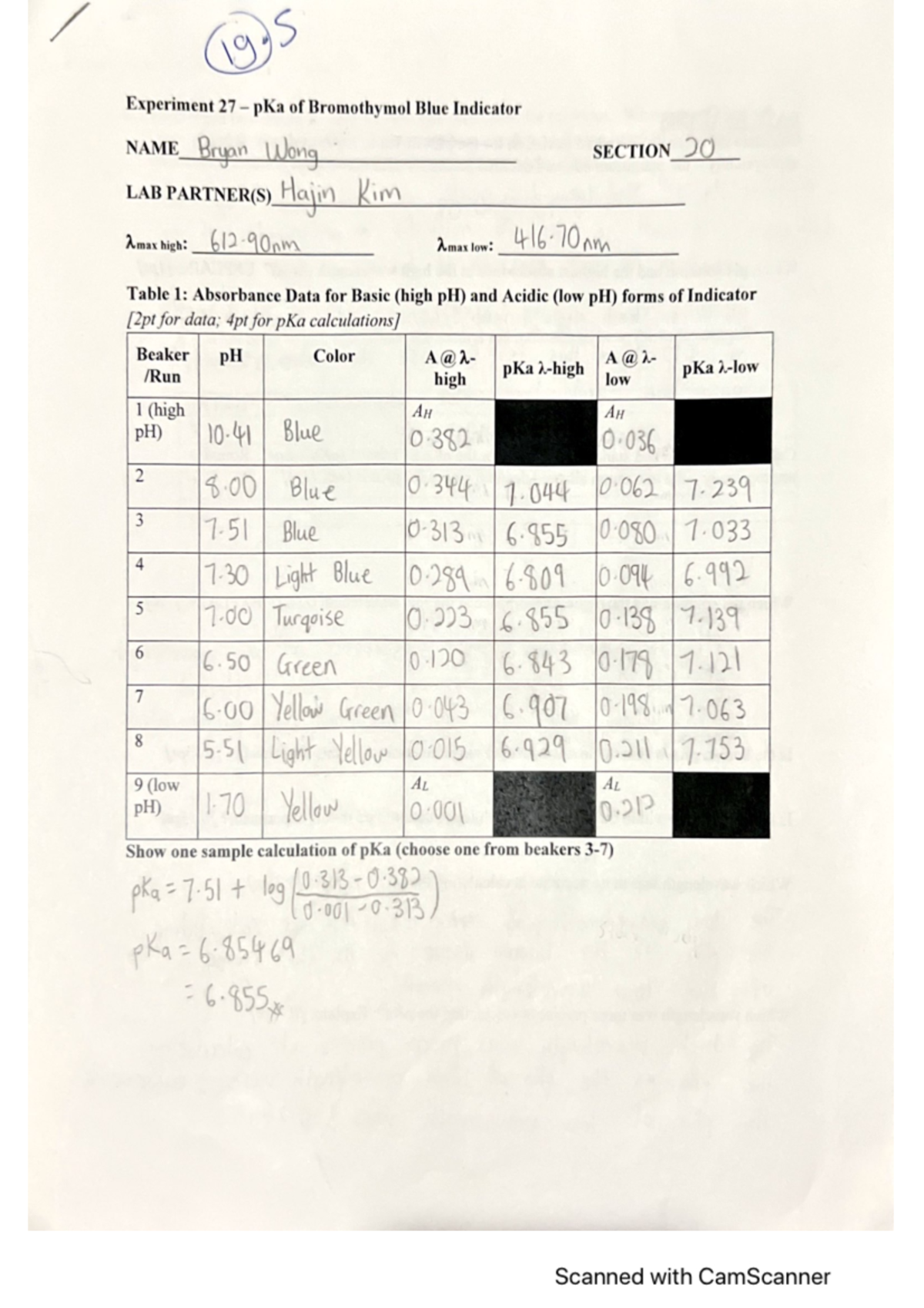 bromothymol blue bean experiment