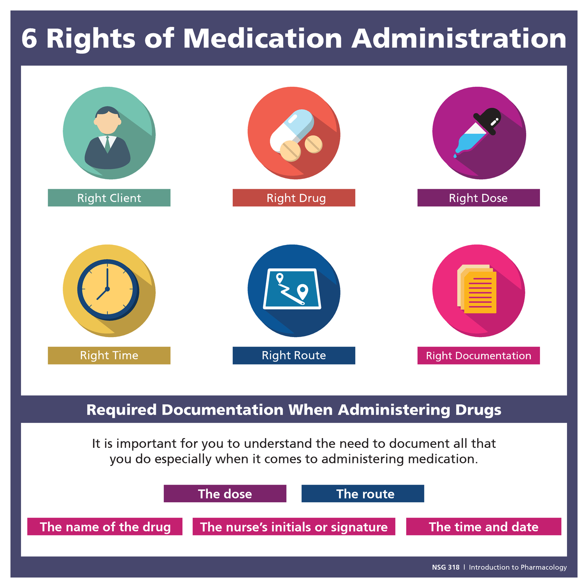 Six Rights of Medication Administration Infographic - NUR 152 - 6 ...