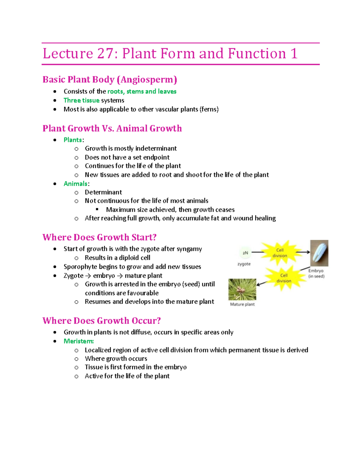 Lecture 27 - Plant Form and Function I - Lecture 27: Plant Form and ...