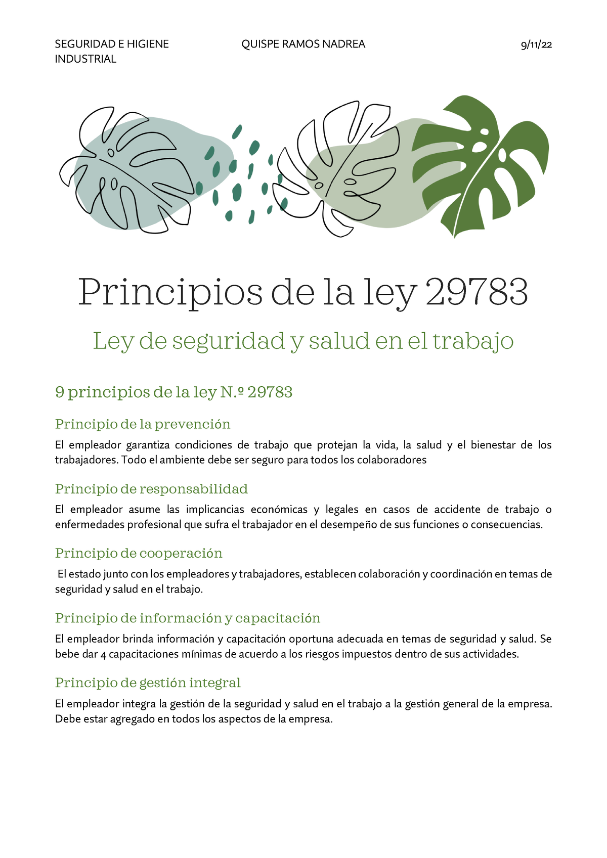 Ley De Seguridad Y Salud En El Trabajo - º 29783 Principio De La ...