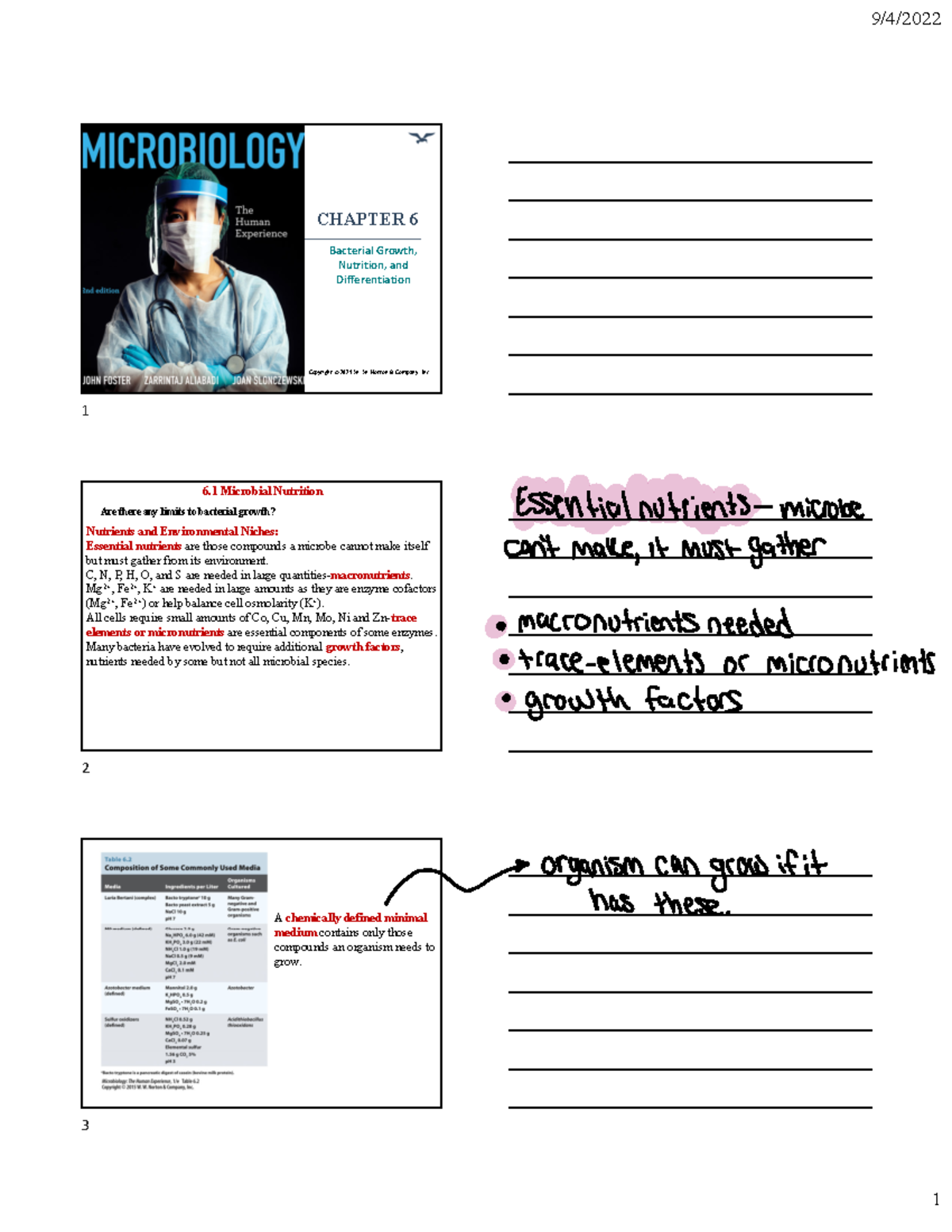 Chapter 6 Medical Micro Biology, notes to lead you to success