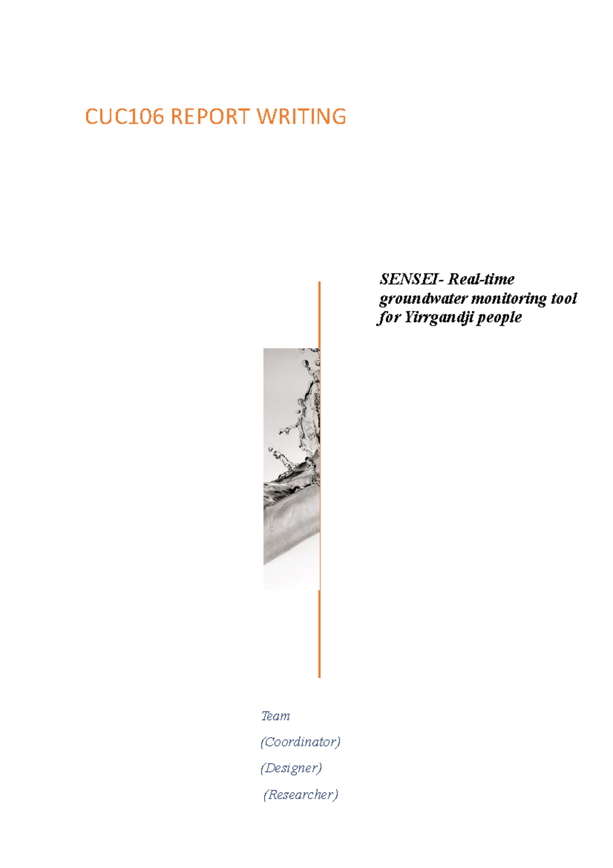 CUC106 Assignment 3c - CUC106 REPORT WRITING Team (Coordinator ...
