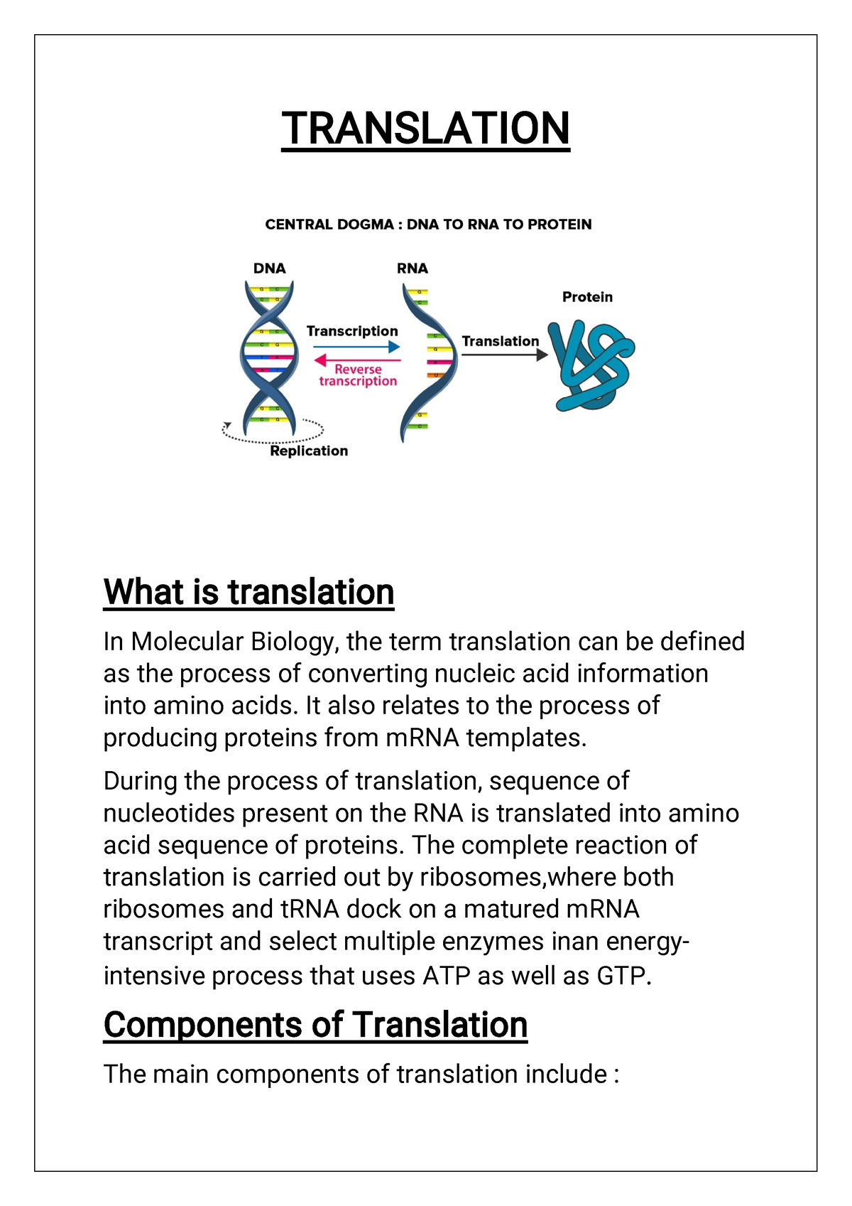 translation-biology-translation-what-is-translation-in-molecular