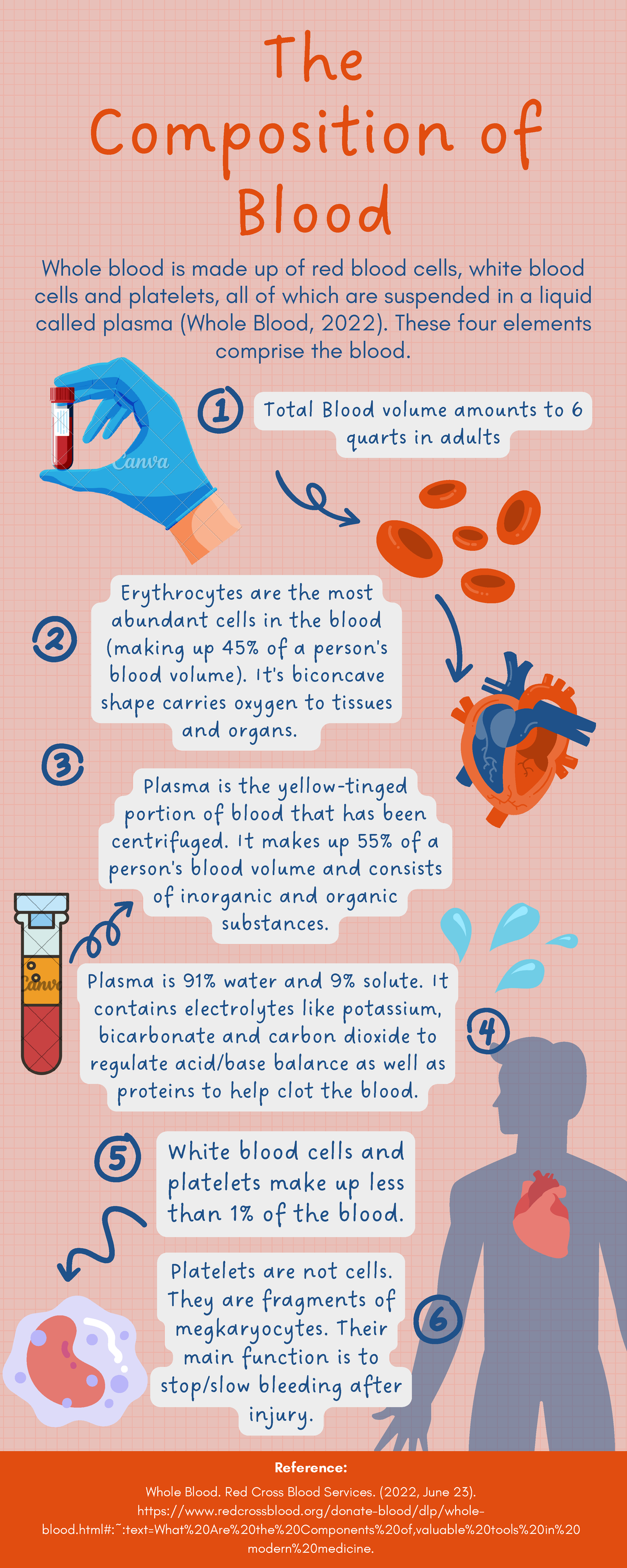 Composition of Blood - Plasma is the yellow-tinged portion of blood ...