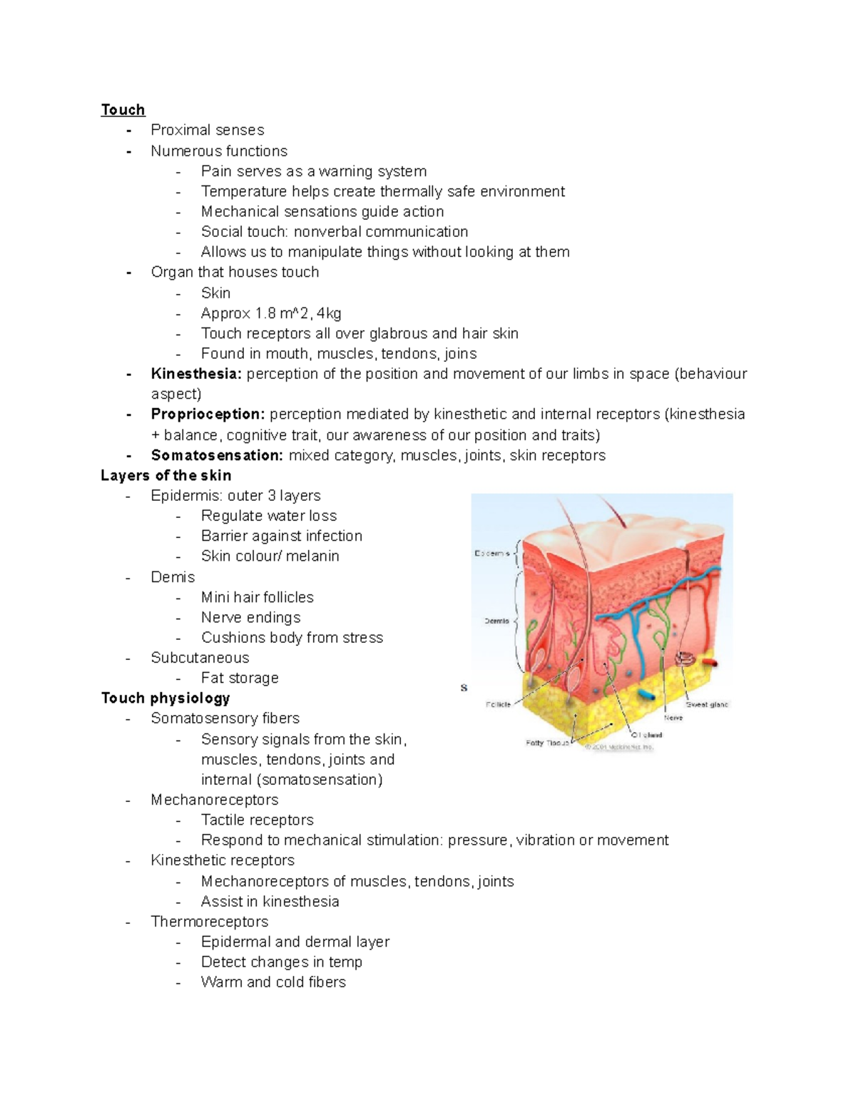 Touch - Complete Lecture notes - Touch - Proximal senses - Numerous ...