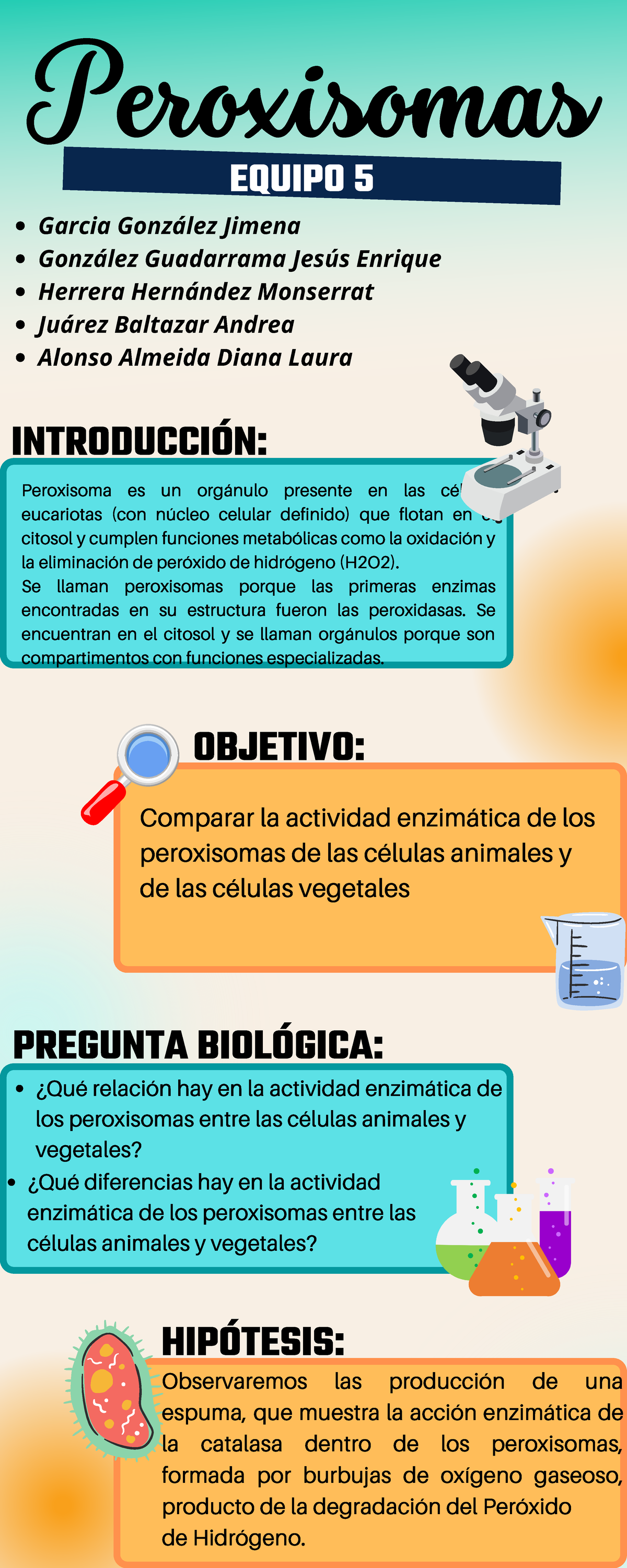 Diagrama de Flujo Practica 5 Equpo 5 Peroxisomas - Peroxisoma es un ...