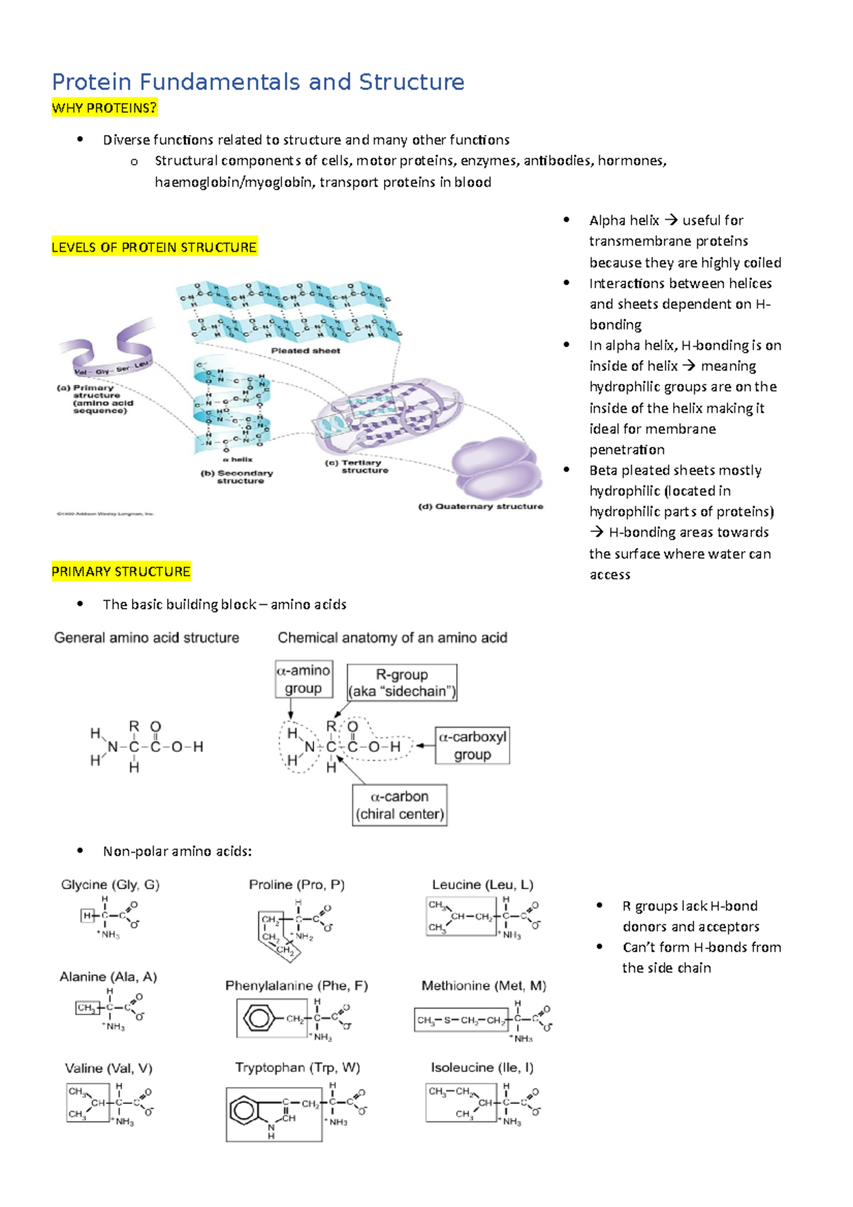 From Simple Sugars To Amino Acids: The Fundamentals Of Carbs And Proteins - kqa8sbm