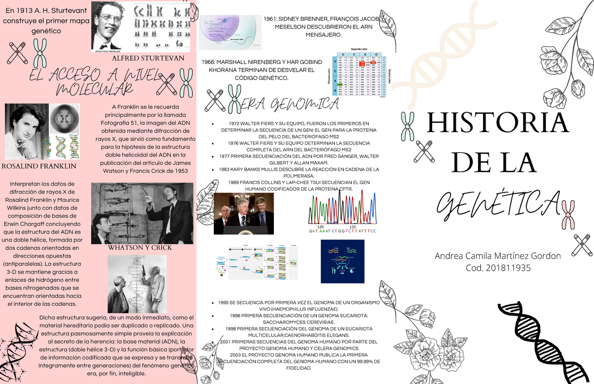 Historia DE LA Genética - EL ACCESO A NIVEL MOLECULAR GENÉTICA HISTORIA