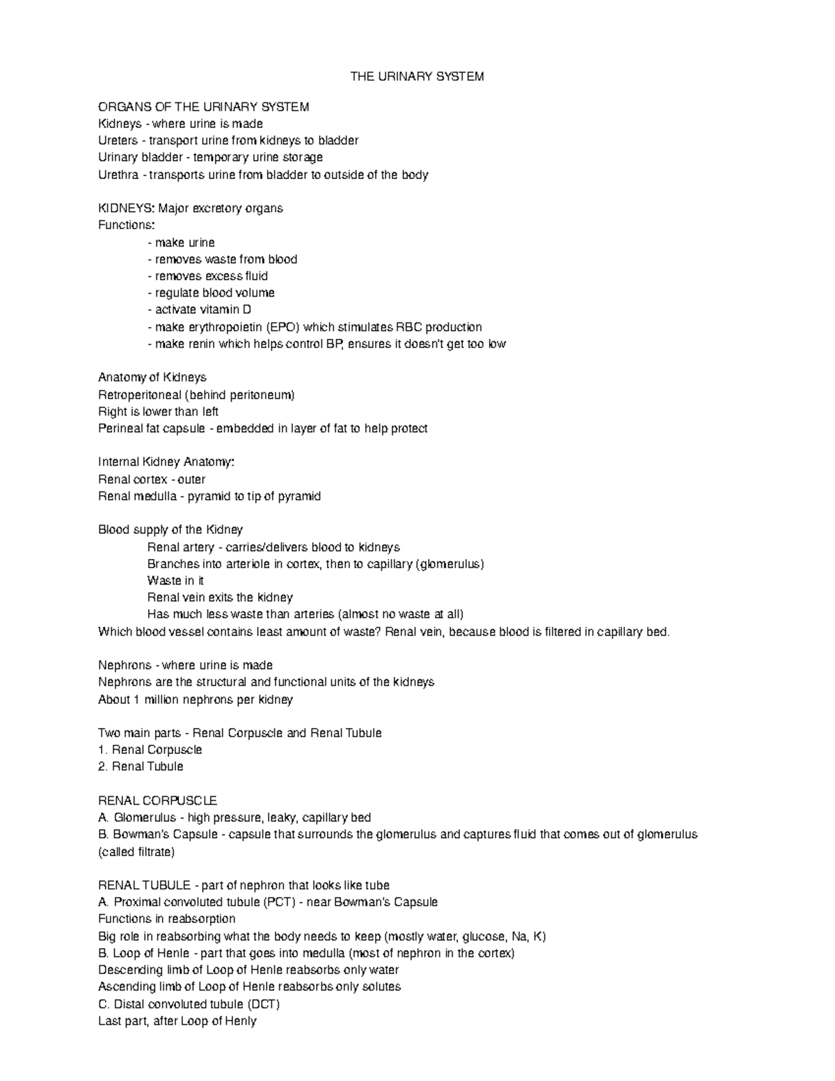 19, Urinary System Notes - THE URINARY SYSTEM ORGANS OF THE URINARY ...