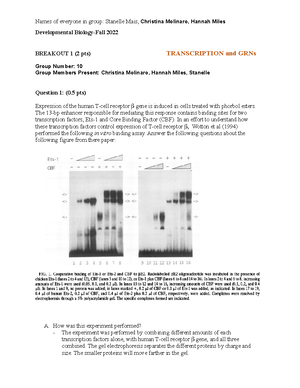 a tiny heart case study pdf