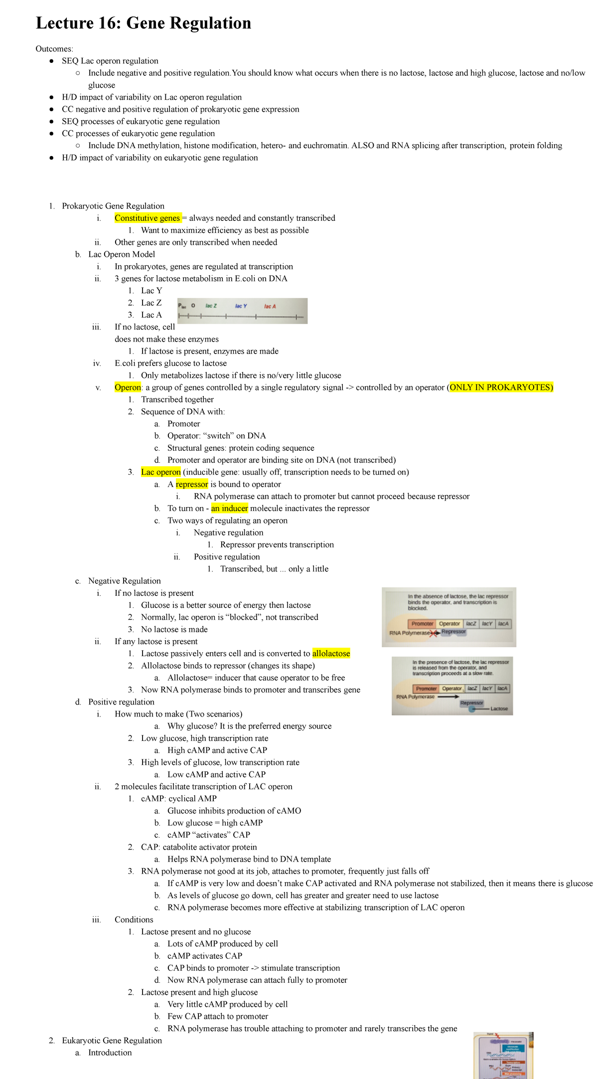 Lecture 16Gene Regulation Lecture 16 Gene Regulation SEQ