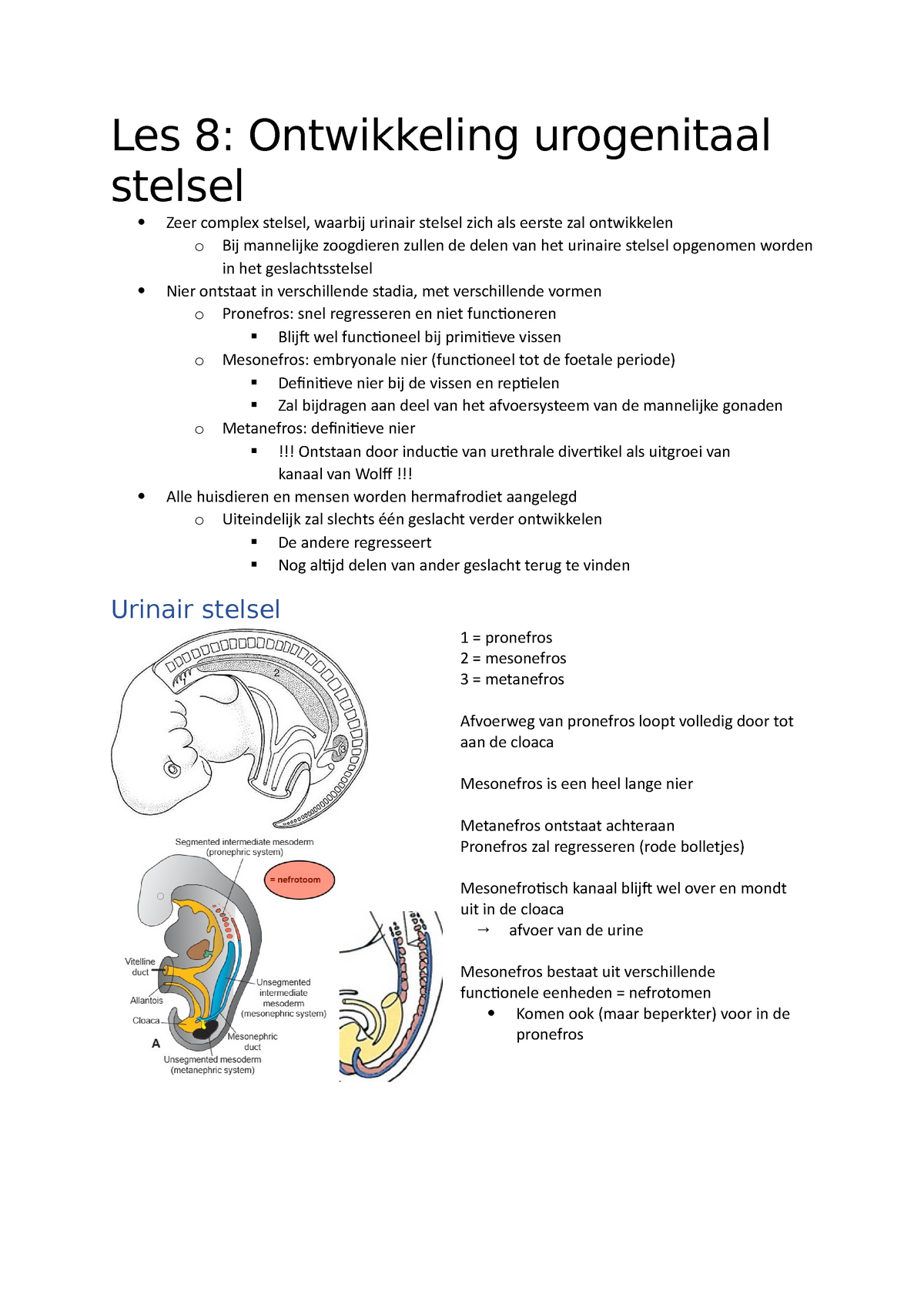 Samenvatting Les Les Ontwikkeling Urogenitaal Stelsel Zeer Complex Stelsel Waarbij