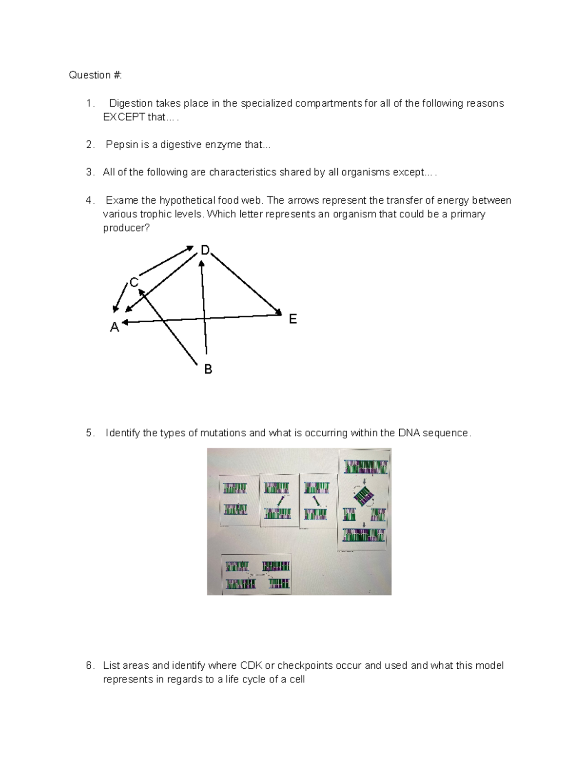 Bio Fall Final 2022 Questions part 2 - Question #: 1. Digestion takes ...
