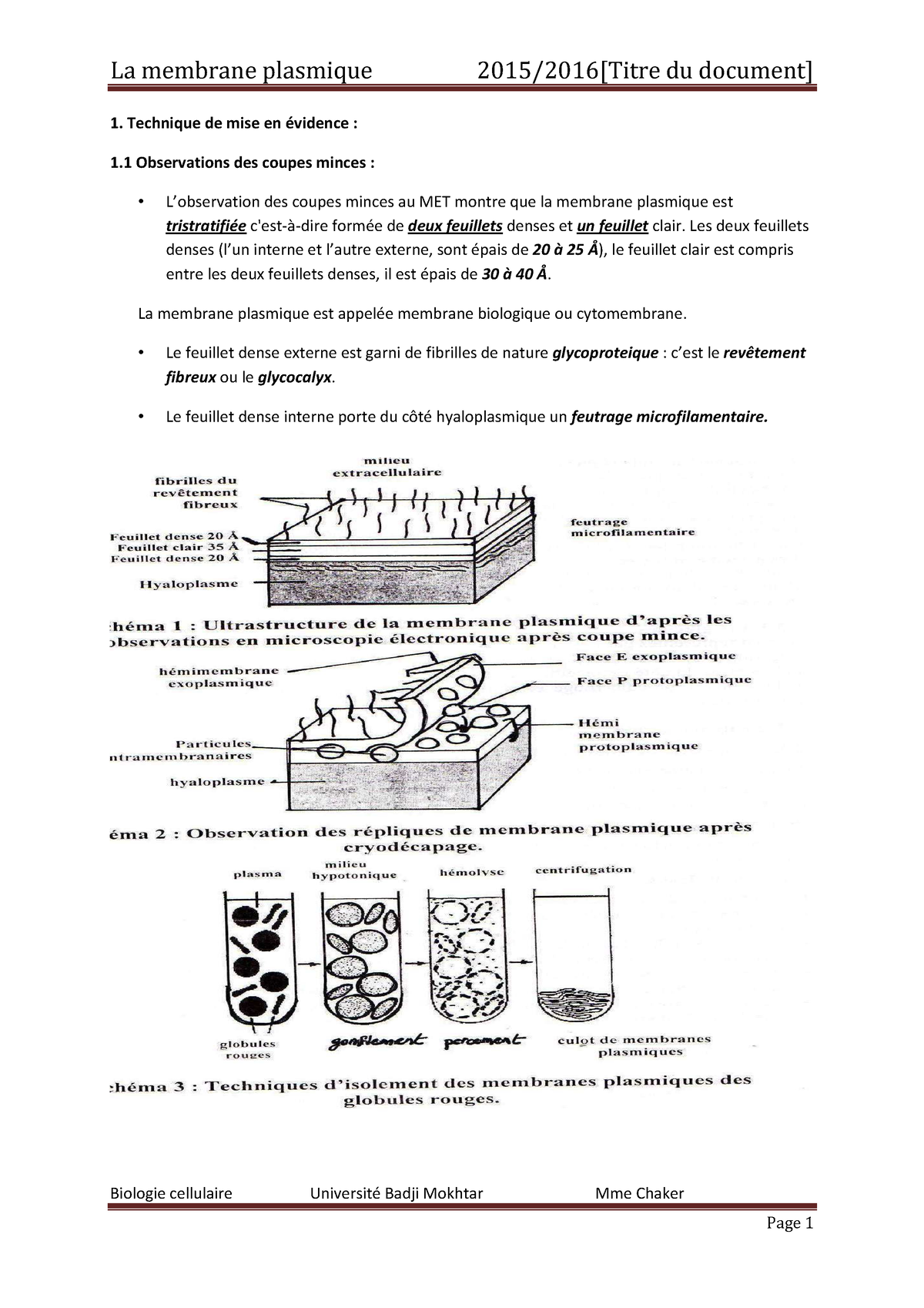 Cours Biologie Cellulaire Cours 3 Mb Pi - Biologie Cellulaire ...