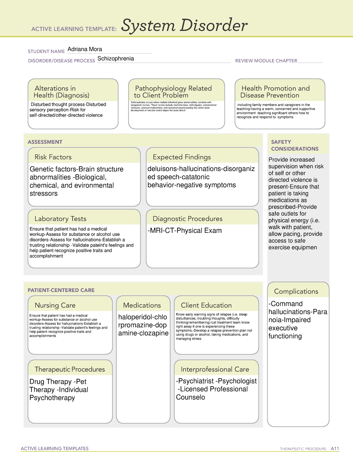 Schizophrenia SD system disorder template ACTIVE LEARNING TEMPLATES