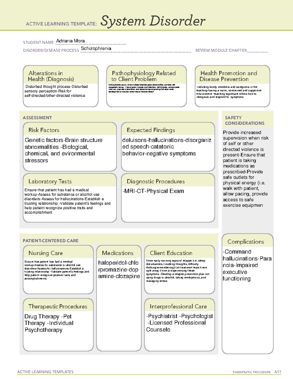 Schizophrenia System Disorder Template