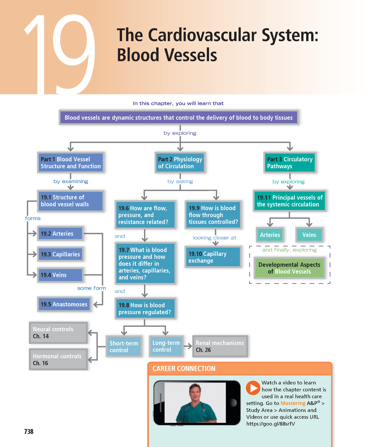 Midterm 3 Textbook - ####### 738 The Cardiovascular System: Blood ...