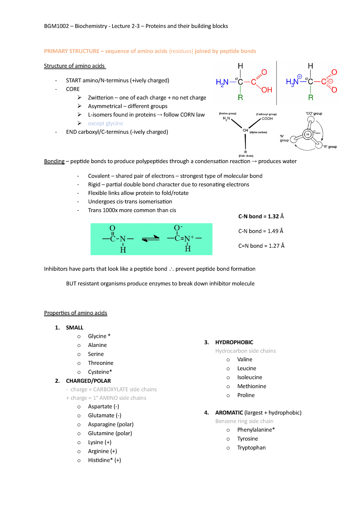 BGM1002 L02-03 Proteins And Amino Acids - BGM1002 – Biochemistry ...