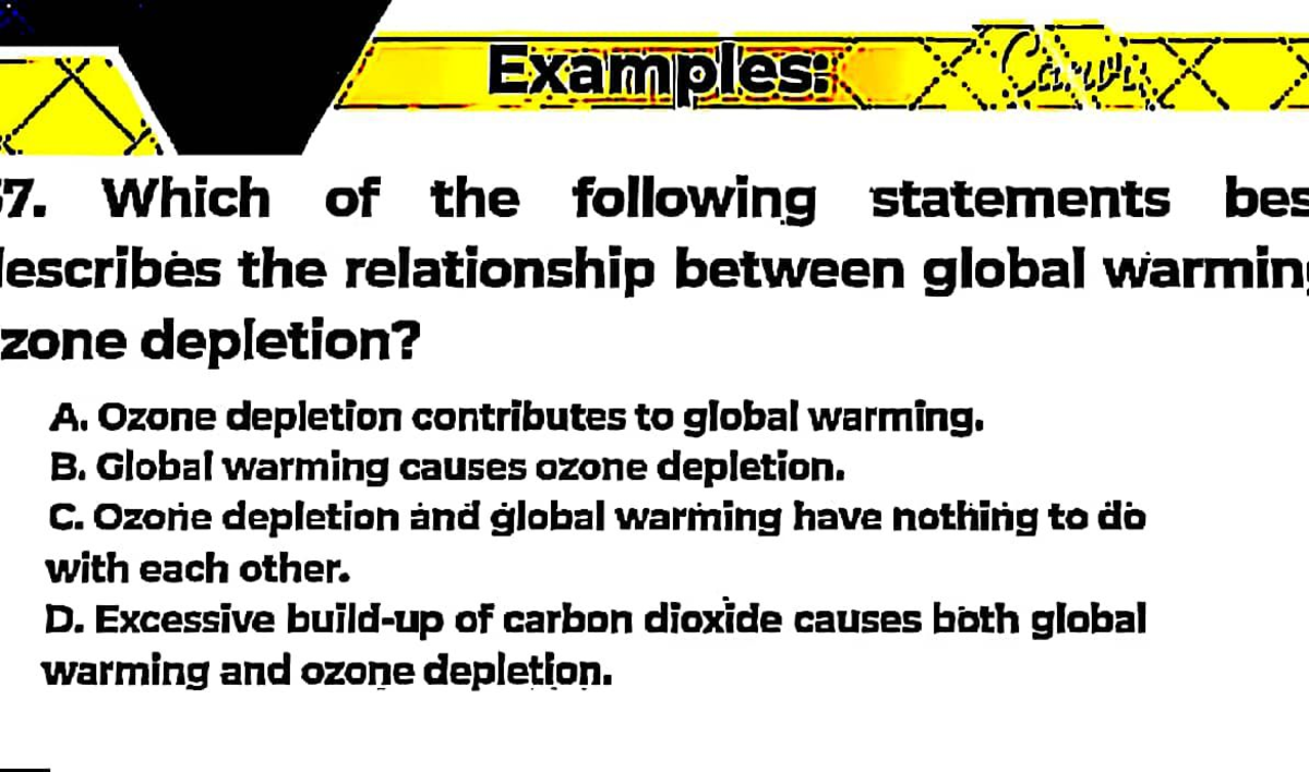 MATH223 13 - Hxhx - Basic Accounting - Examples: 7. Which of the ...
