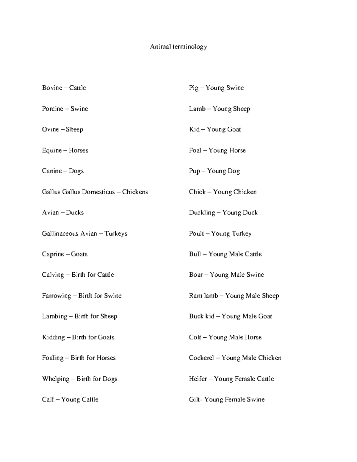 Animal terminology Animal terminology Bovine Cattle Porcine Swine