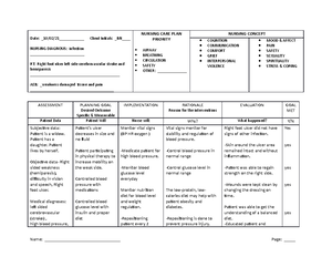 Daily Holistic Assessment Tool - Holistic Nursing Assessment Form Name ...