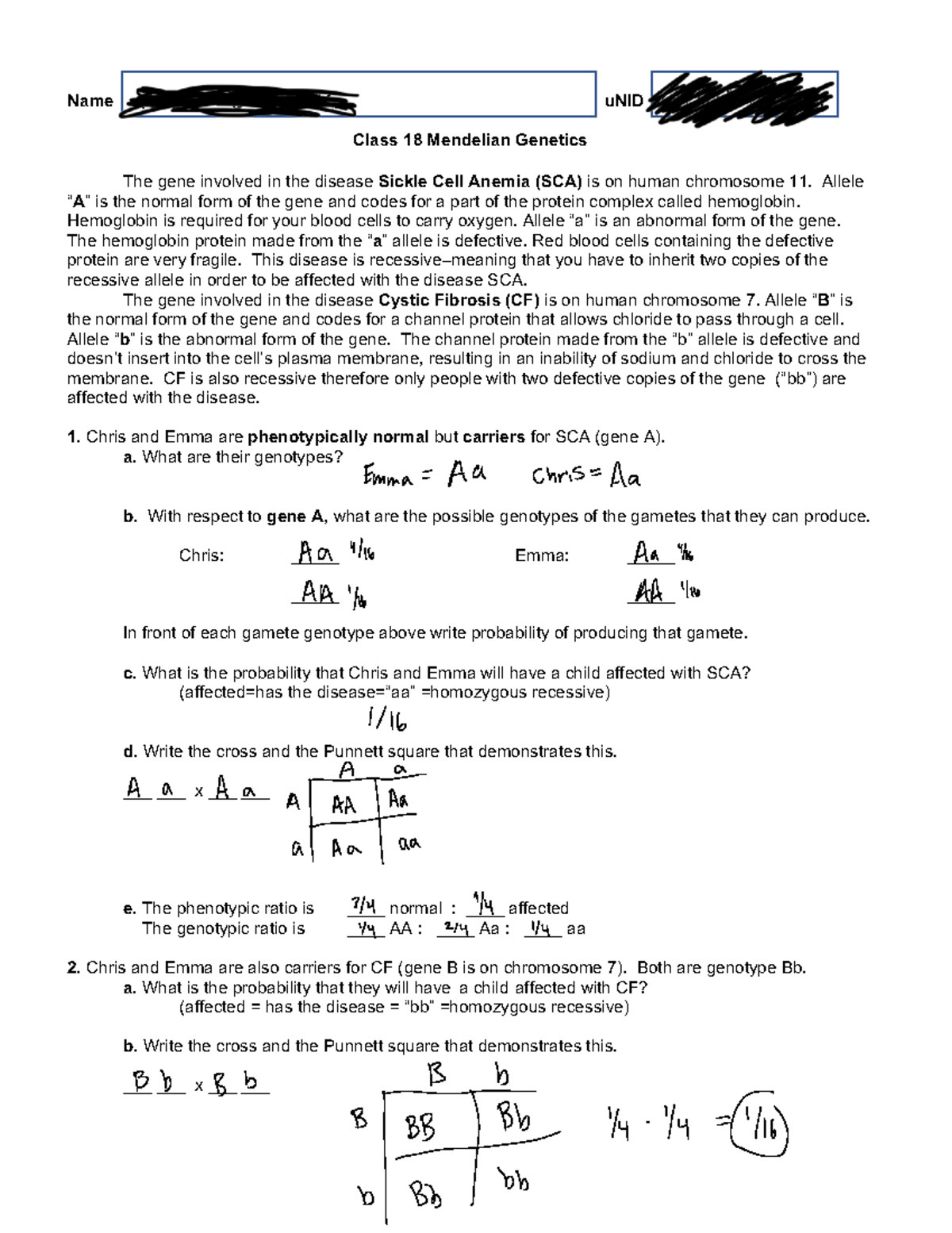 Worksheet+18+Mendelian+Genetics - Name uNID Class 18 Mendelian Genetics ...