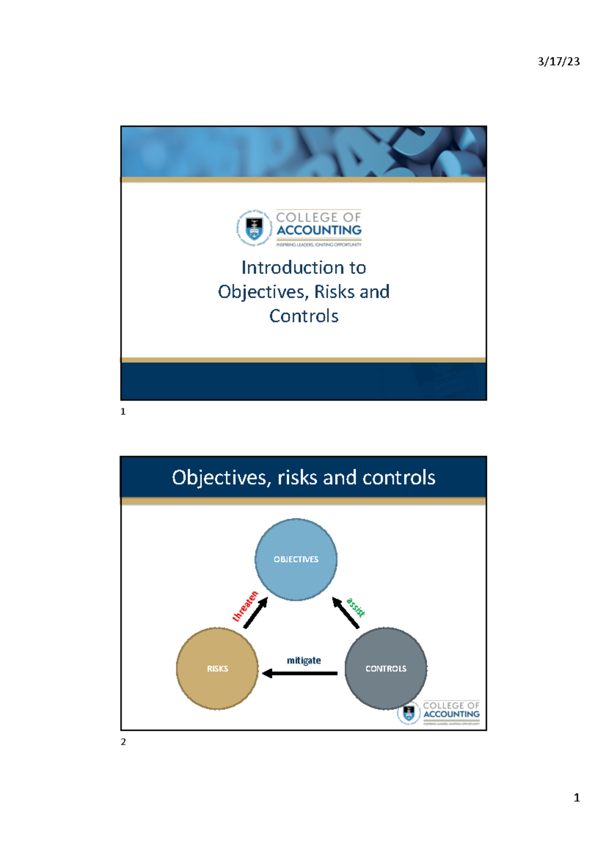 GAA+I+Week+6+Lecture+Slides - Introduction to Objectives, Risks and ...