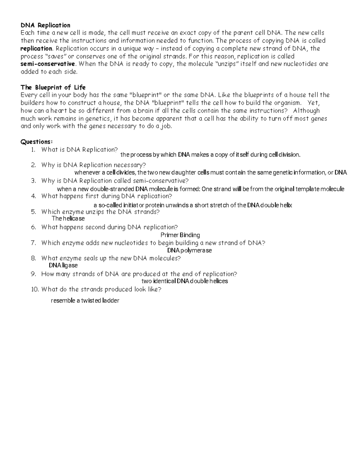 Kami Export - Severo Jennings - DNA Replication B - DNA Replication ...