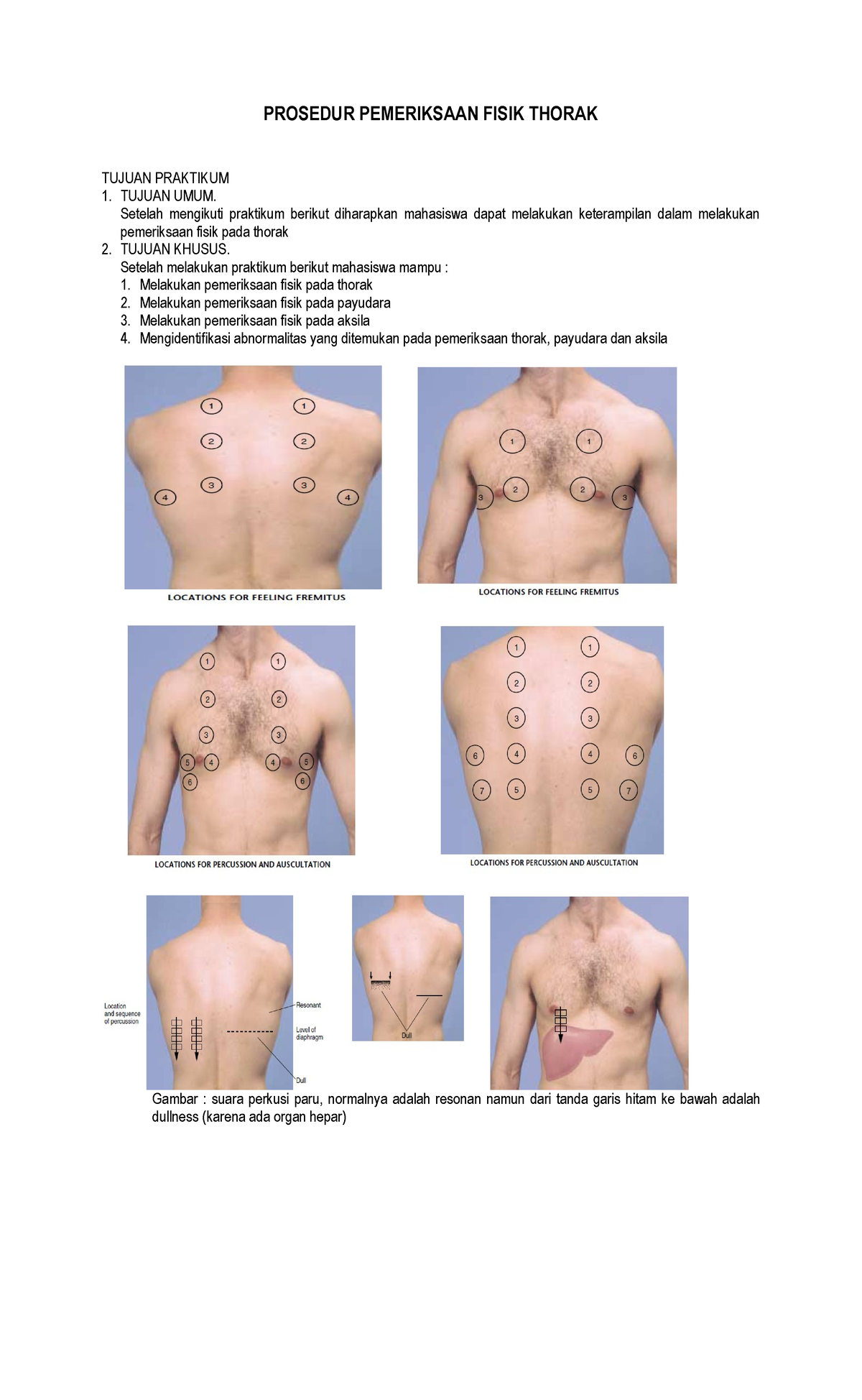 Pemeriksaan Thorak Dan Abdomen Prosedur Pemeriksaan Fisik Thorak