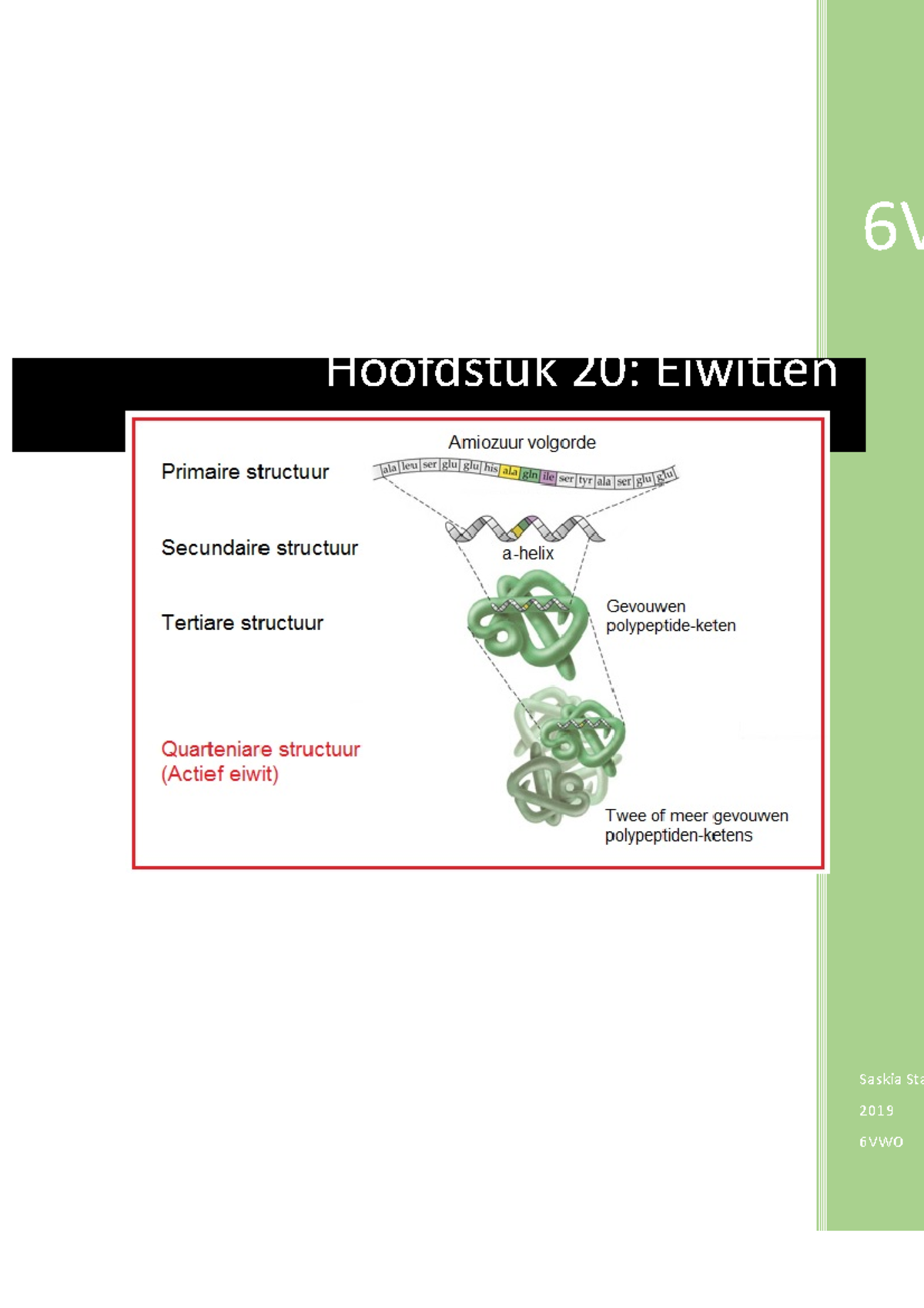 Hoofdstuk 20 Eiwitten - 6VWO Saskia Stam 2019 6VWO Hoofdstuk 20 ...