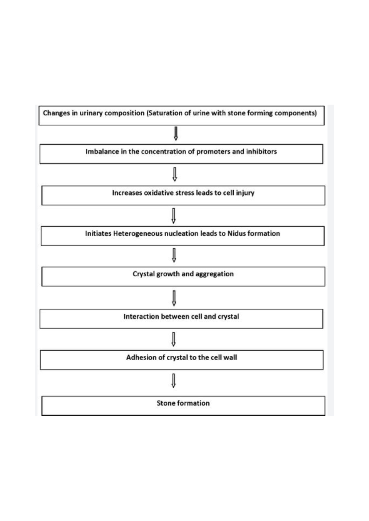 Pathology of kidney stones - Changes in urinary composition (Saturation ...