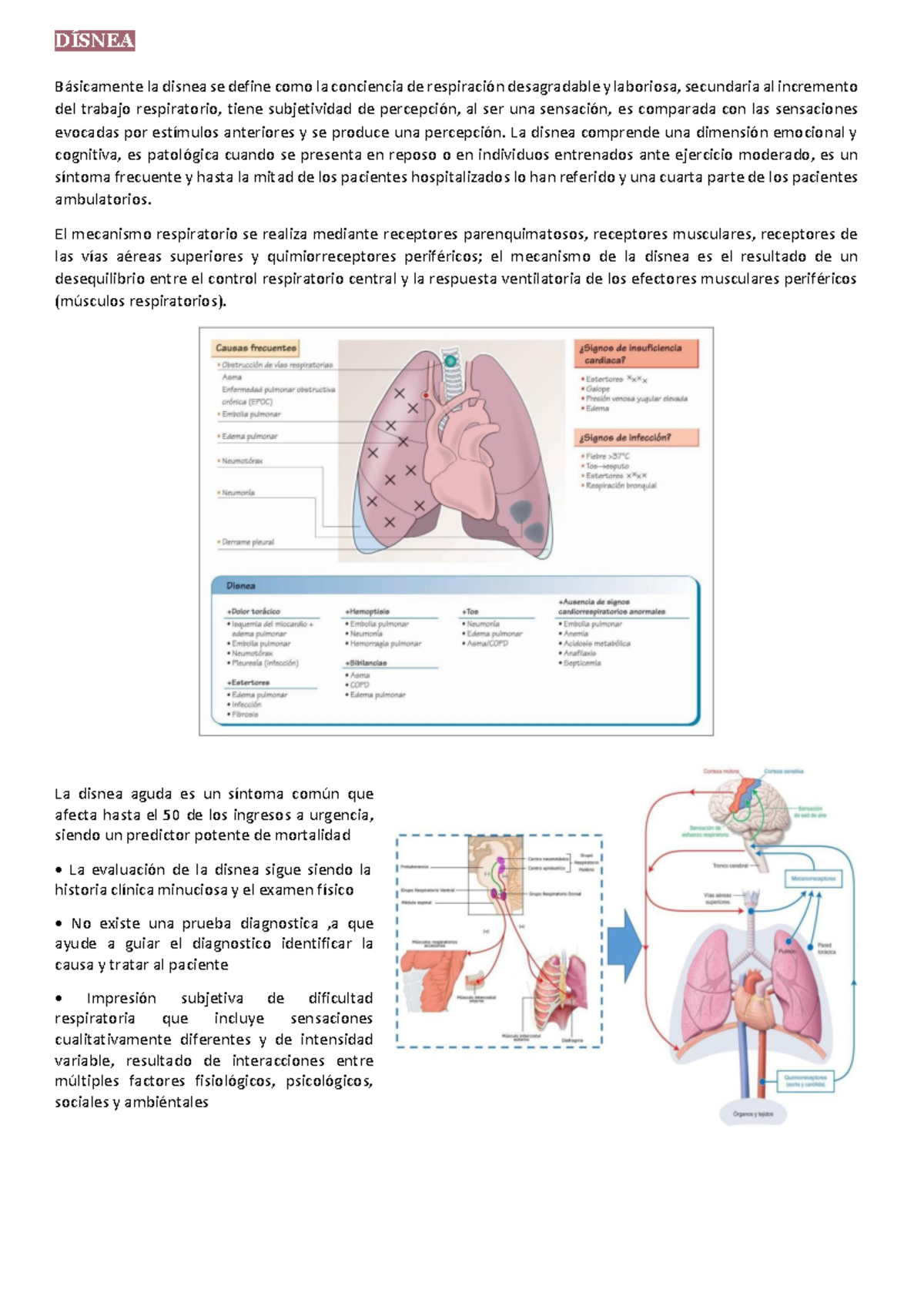 Dísnea - RESUMEN DE ROTACION NEUMO - DÕSNEA B·sicamente La Disnea Se ...