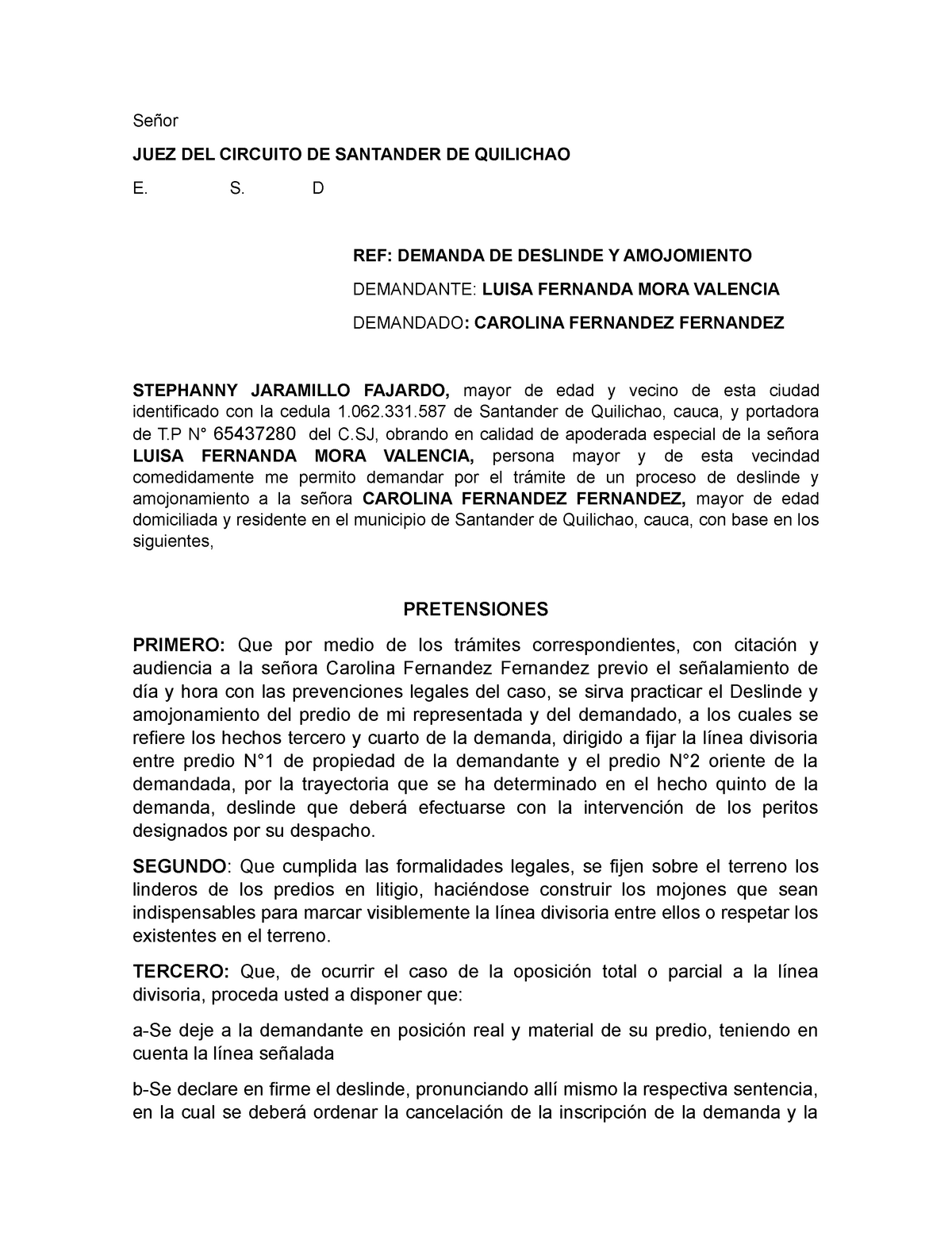 Demanda Deslinde Y Amojonamiento Corregida Juez Del Circuito De Santander De Quilichao E S D 7324