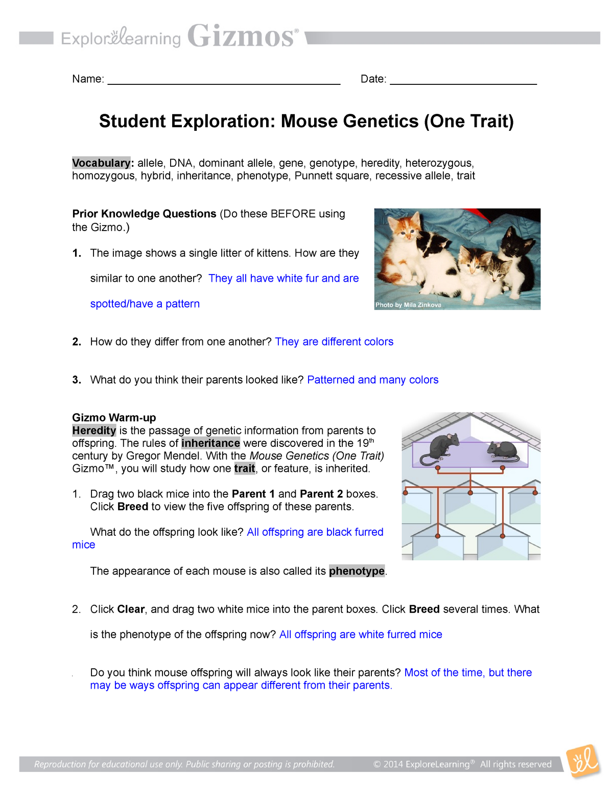 Mouse Genetics Se Bio Studocu