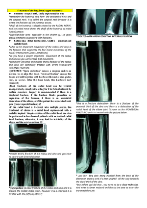 a case study on bone tissue structure and repair