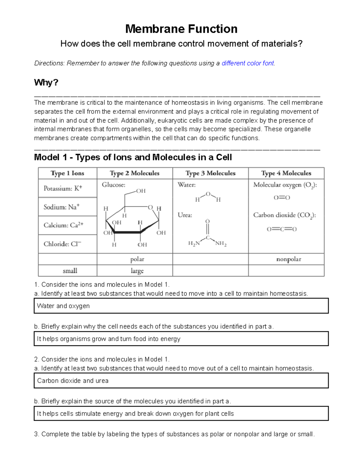 5-pogil-membrane-function-membrane-function-how-does-the-cell