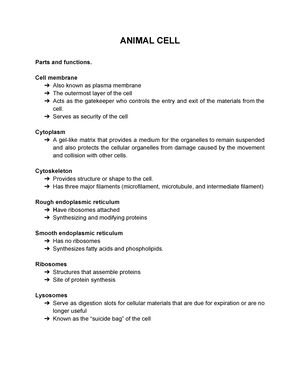 Case Study- Cleft Lip and Palate - PHILIPPINE WOMEN’S UNIVERSITY 1743 ...