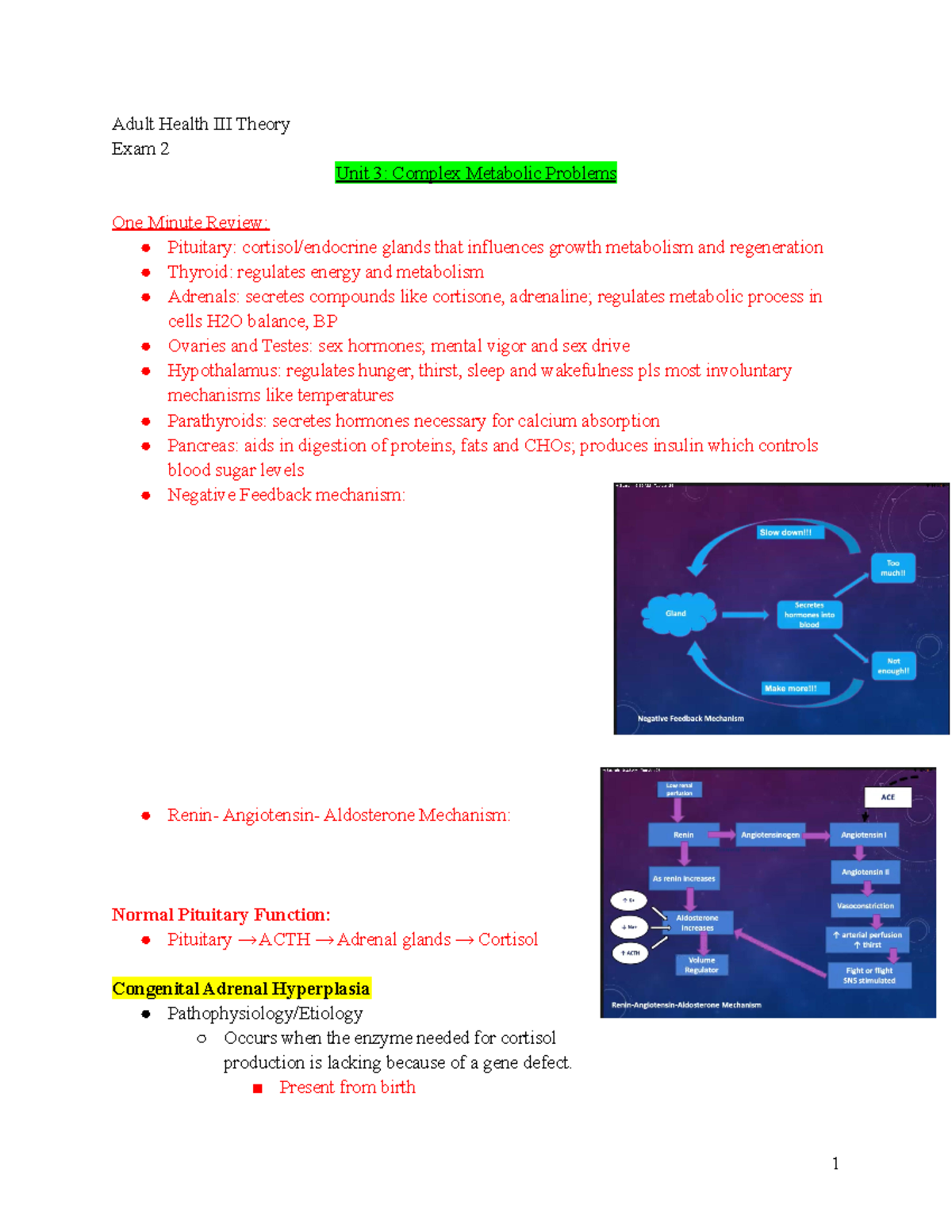 AH3 Theory Exam 2 Notes - N/a - Adult Health III Theory Exam 2 Unit 3 ...