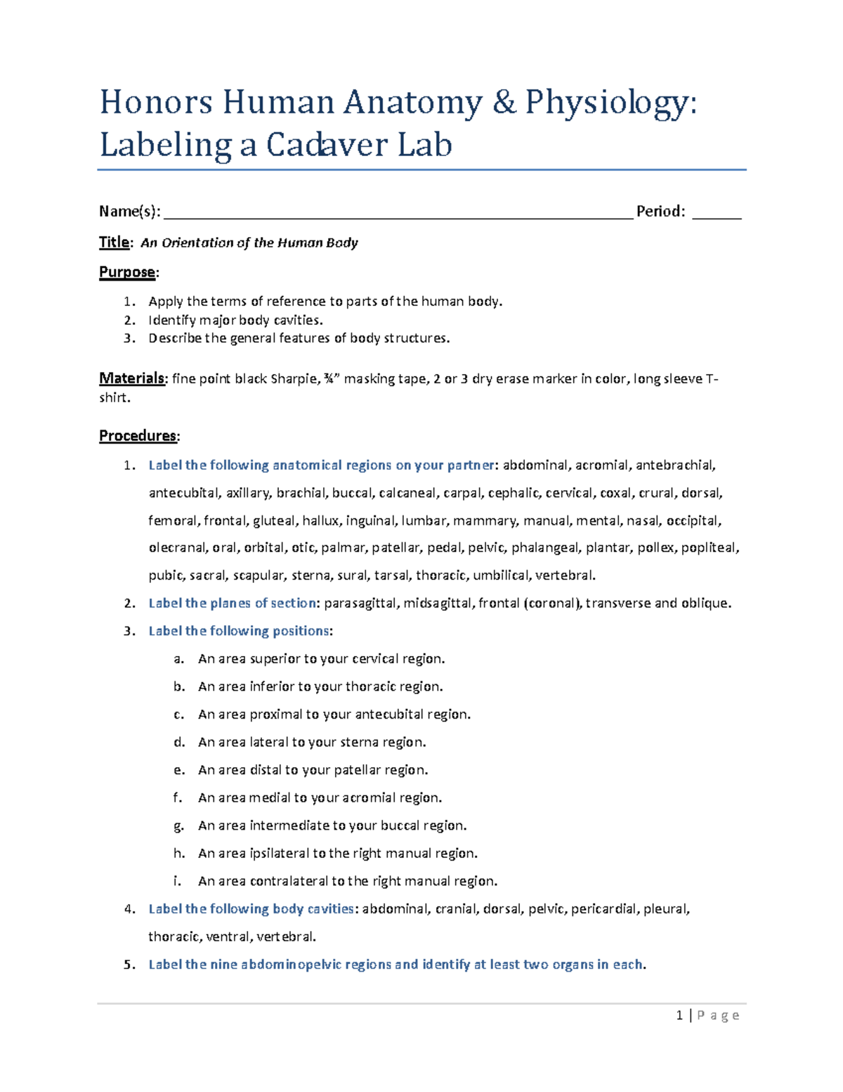 Labeling a Cadaver Lab fegaw4rbftnhyjsetawg4 1 P a g e Honors