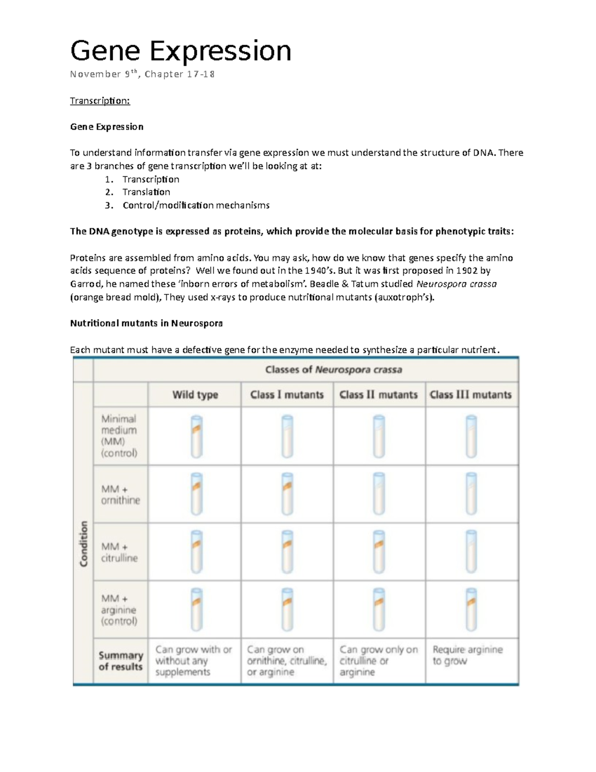 Foundations of Biology - Gene Expression - Gene Expression November 9 t ...