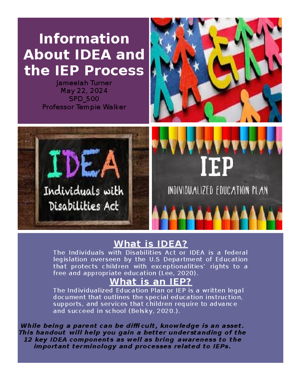 Information About IDEA and the IEP Process-2 - Information About IDEA ...