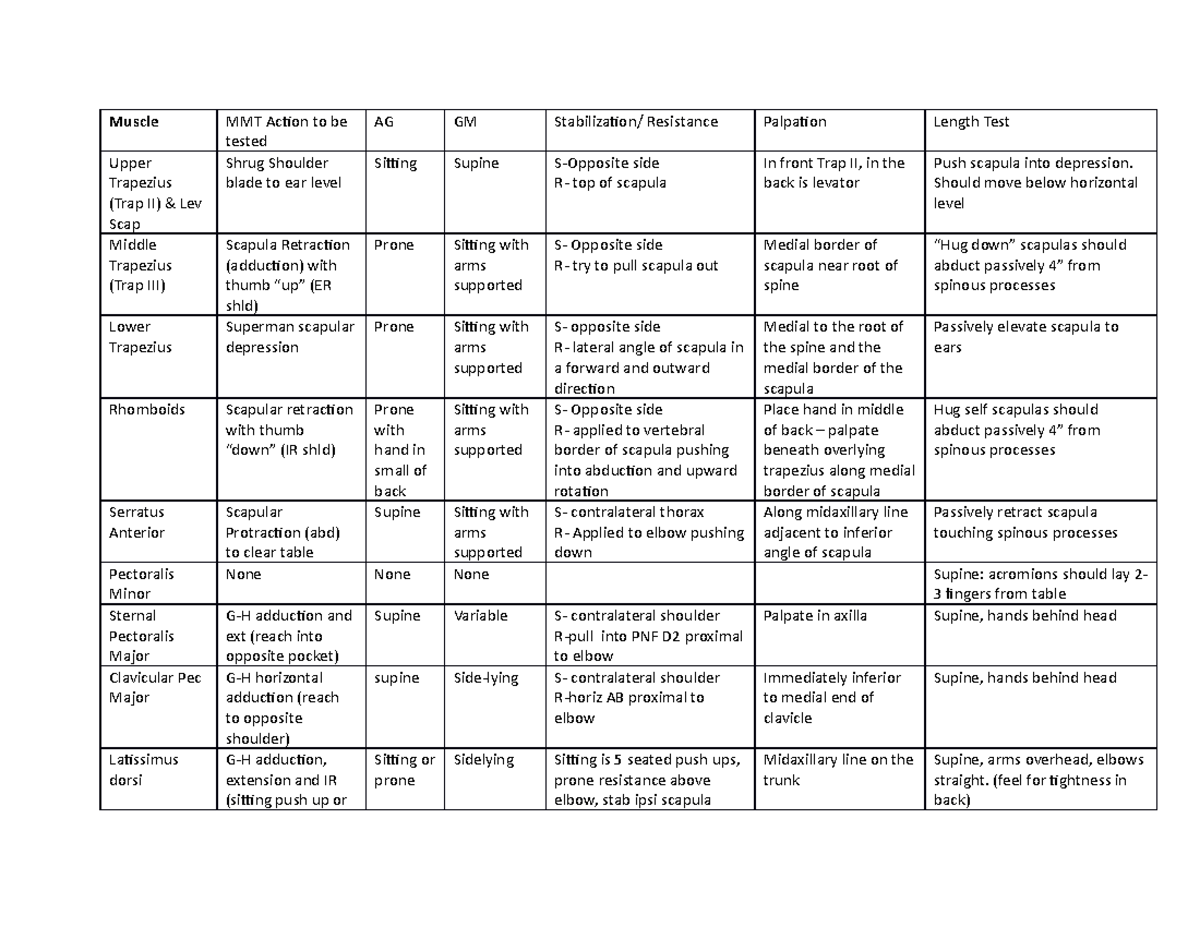 UE MMT-length Chart - Muscle MMT Action to be tested AG GM ...