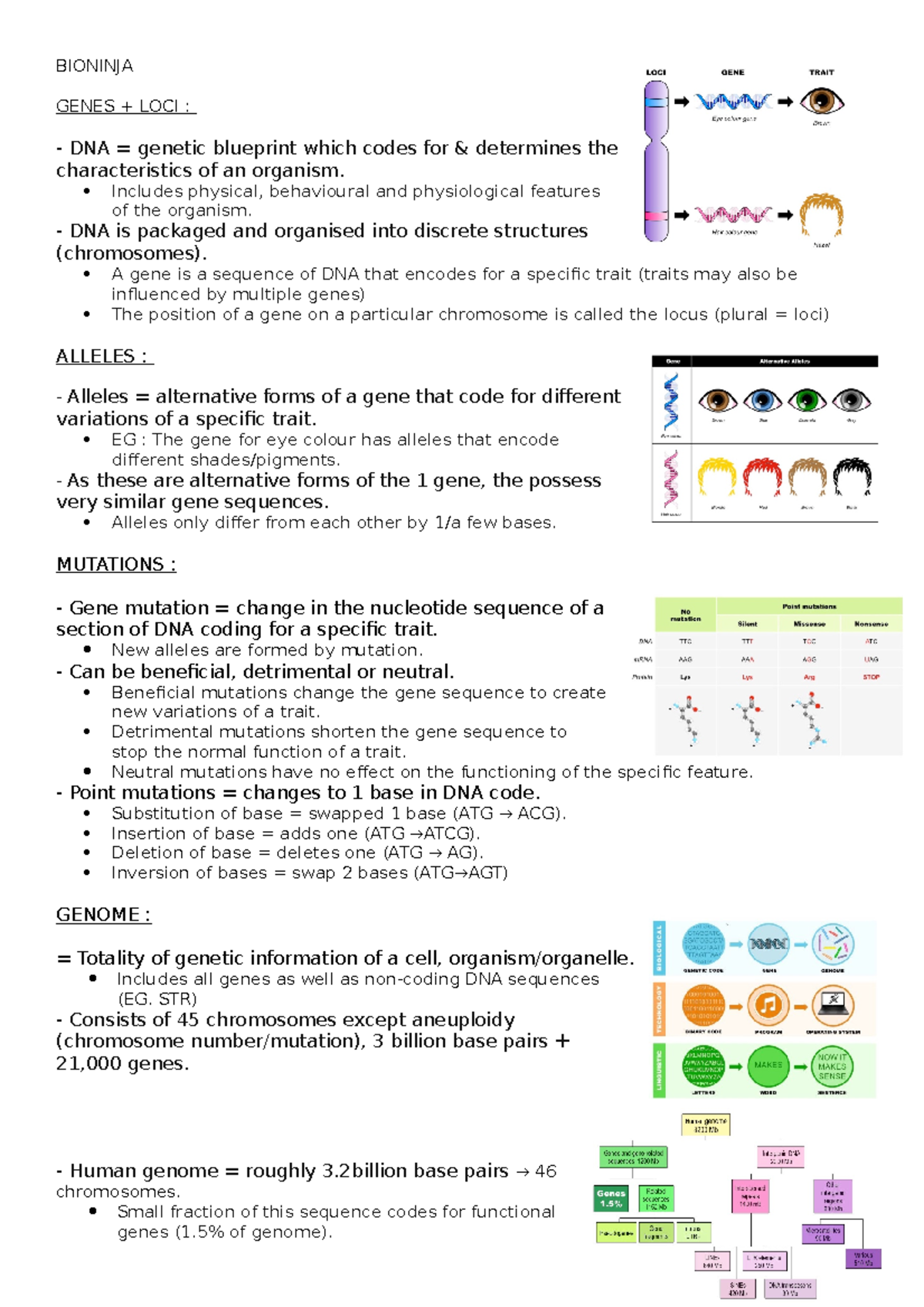 FORENSIC BIONINJA GENES + LOCI DNA = blueprint which codes for & Studocu