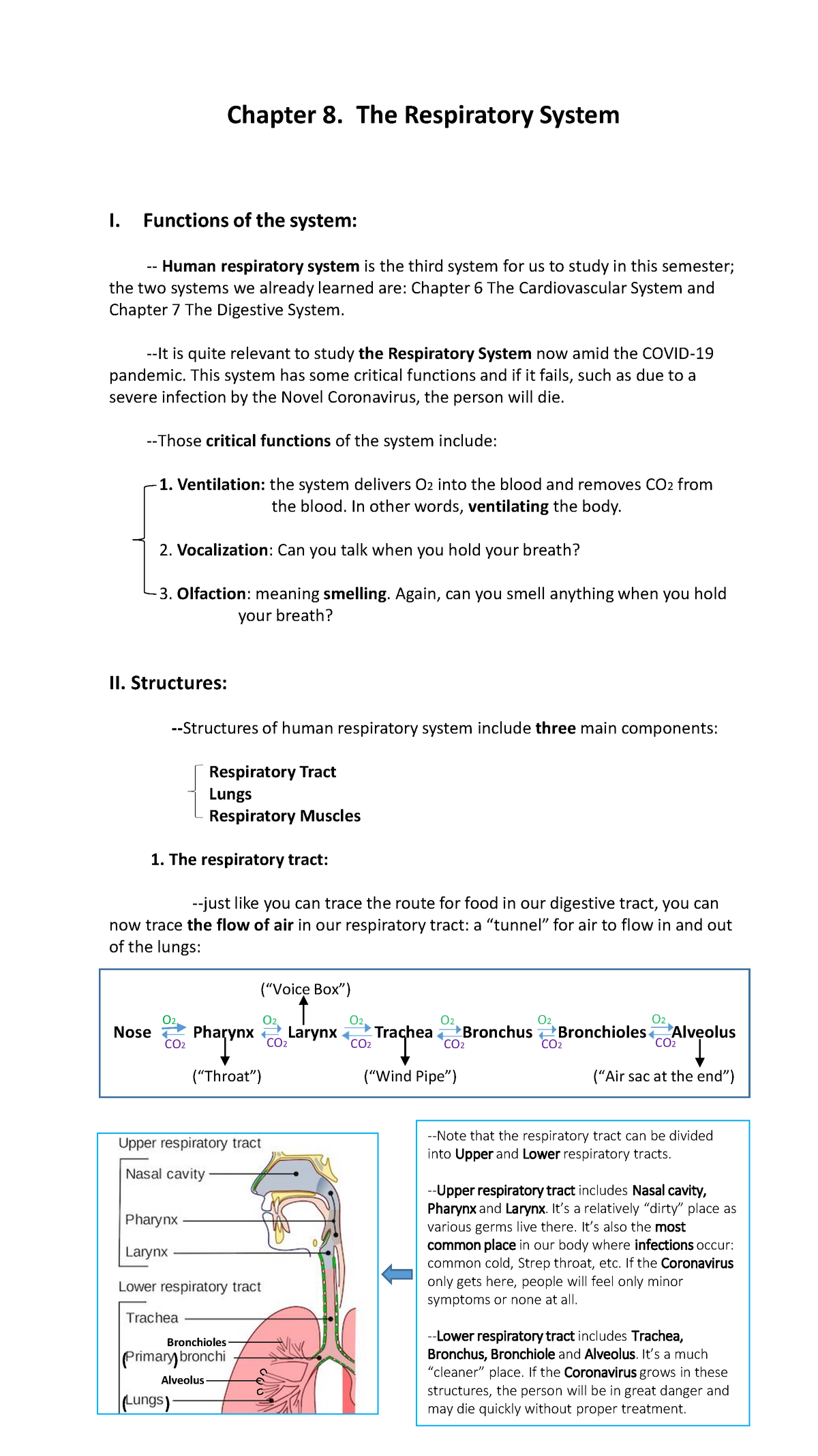 BIO 1100 - Lesson Chapter 8 - Chapter 8. The Respiratory System I ...