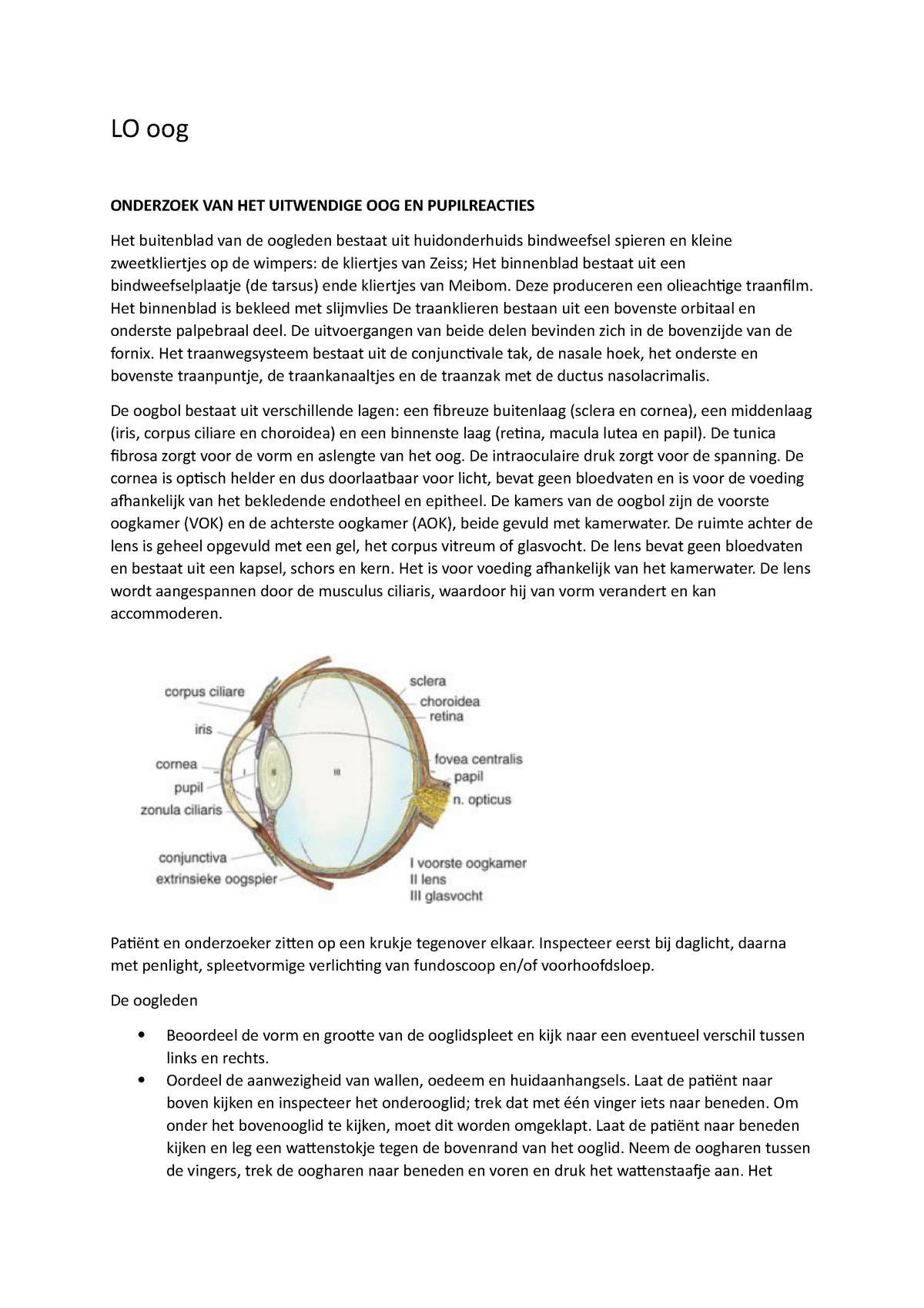 Samenvatting Lichamelijk Onderzoek Van Het Oog Lo Oog Onderzoek Van Het Uitwendige Oog En 3235