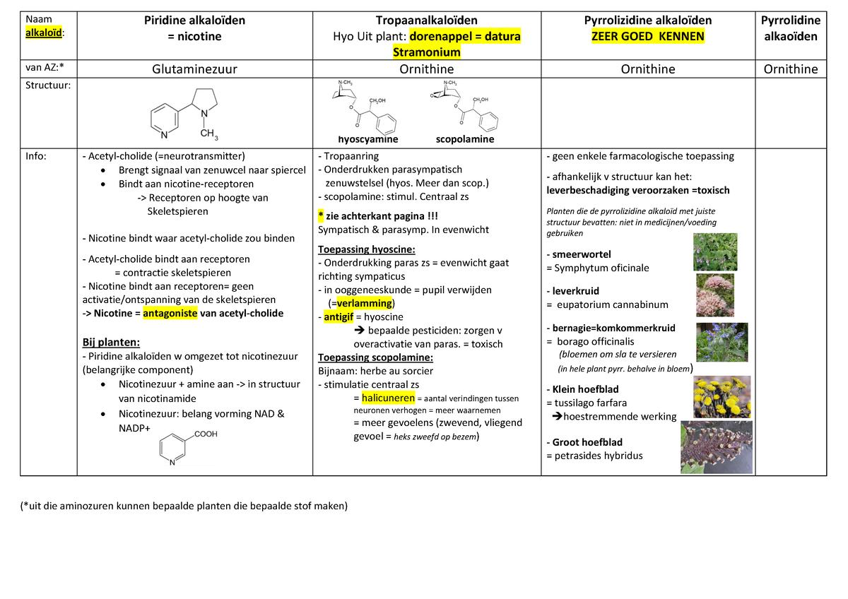 Alkaloïden- Hoofdstuk 4 - (*uit Die Aminozuren Kunnen Bepaalde Planten ...