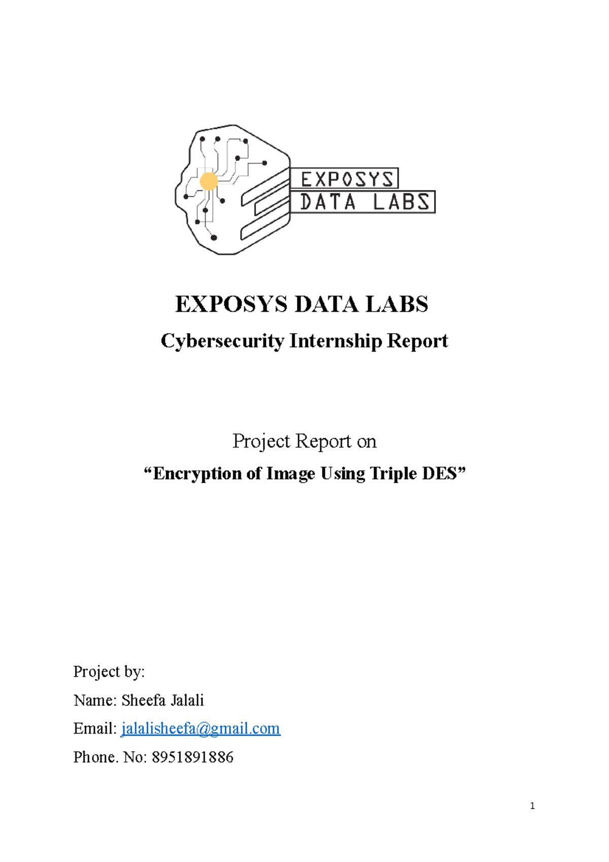 Inrernship Report - EXPOSYS DATA LABS Cybersecurity Internship Report ...