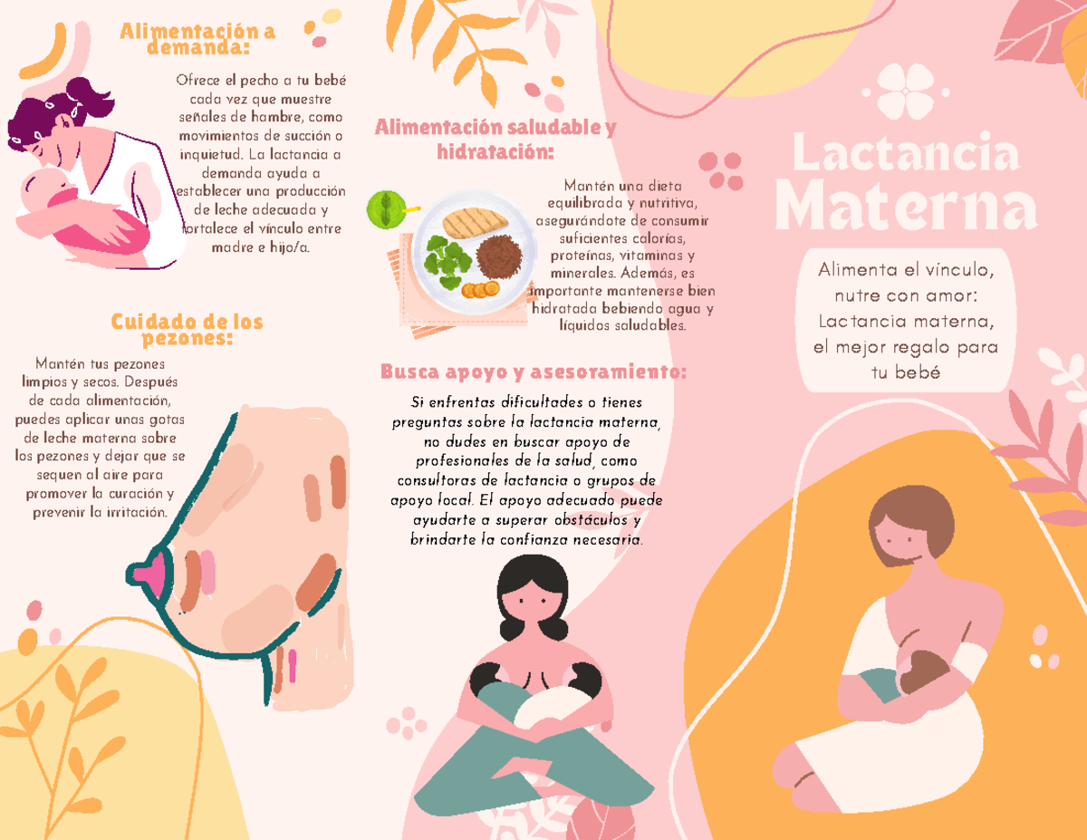 Tríptico LM Triplico sobre lactancia materna Materna Lactancia